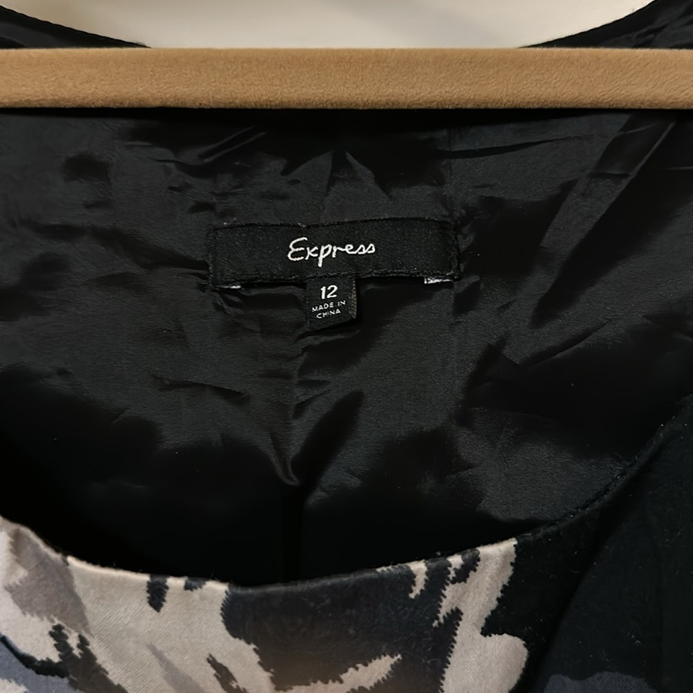 Express dress - Picture 2 of 3